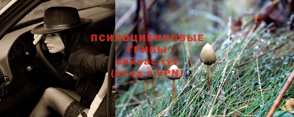 круглые Алексин