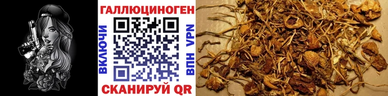 Галлюциногенные грибы GOLDEN TEACHER  Белоярский 